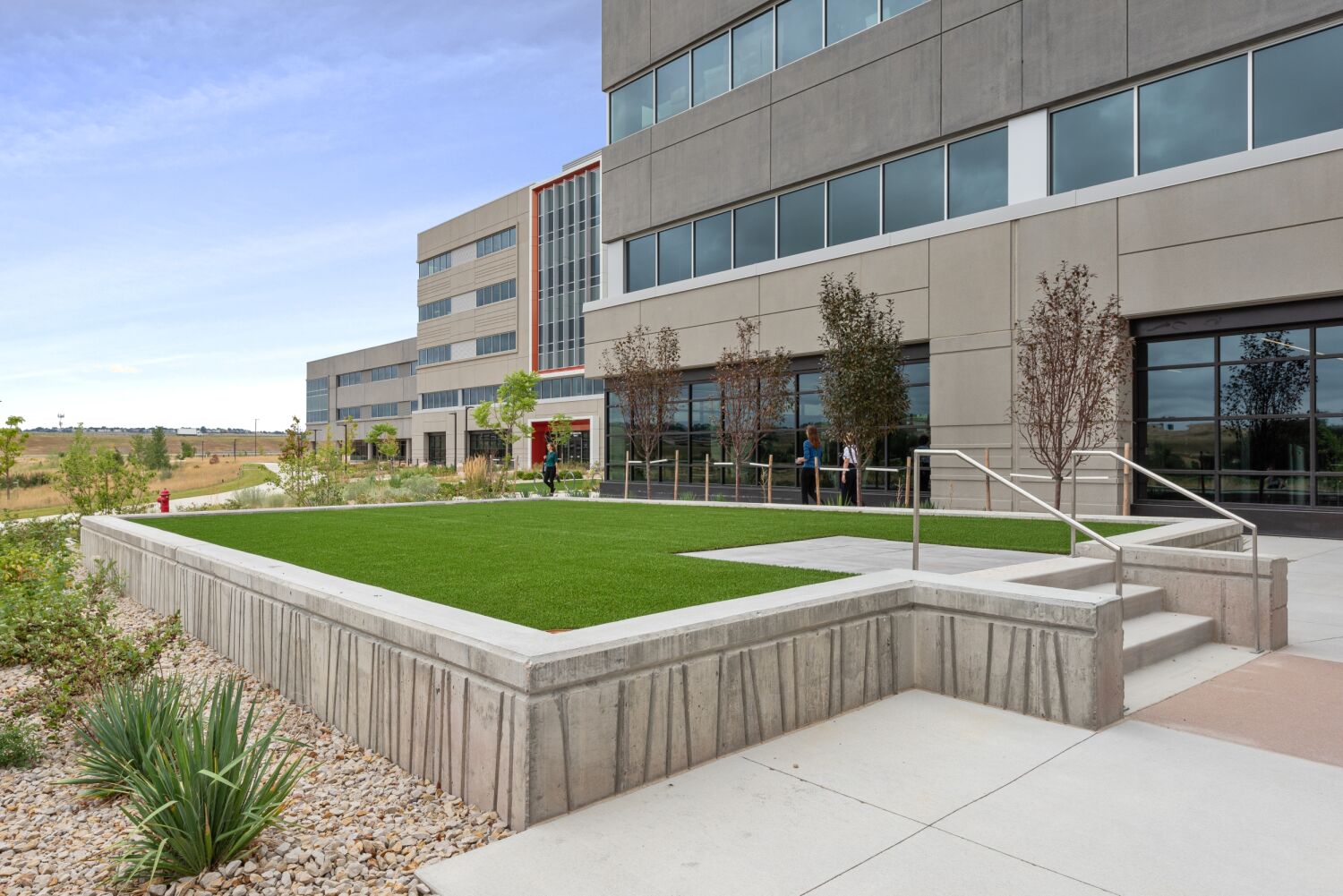 Exterior view of the Medtronic campus showing a raised turf terrace with concrete retaining walls, young trees, landscaped planting beds, and adjacent building façades with large windows.