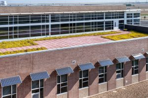 Vista PEAK Preparatory Green Roof 1