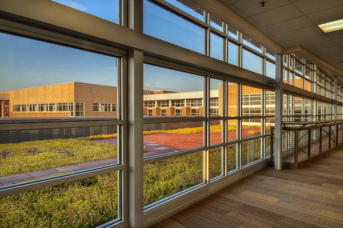 Vista PEAK Preparatory Green Roof 2