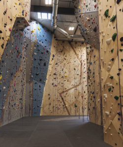G1 Climbing + Fitness Climbing Wall - card image