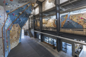 G1 Climbing + Fitness Climbing Wall