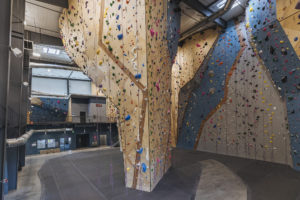 G1 Climbing + Fitness Climbing Wall