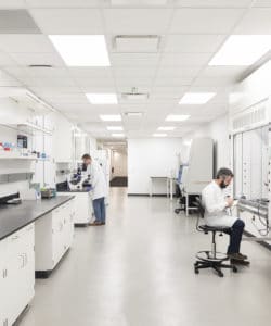 Dept-Bioengineering-Bio-3-Laboratory-Corridor